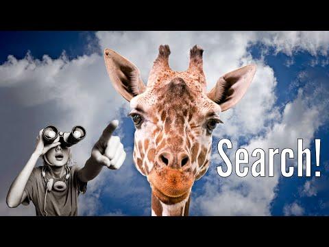 Maximize Your Image Searches with Exile Photo and Exire Search
