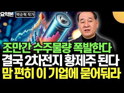 리튬 시장과 전기차 기업에 대한 투자 전략