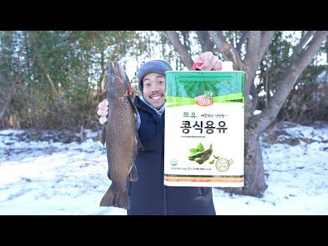 유튜버가 생태 교란종인 브라운송어를 잡아서 먹어보는 과정