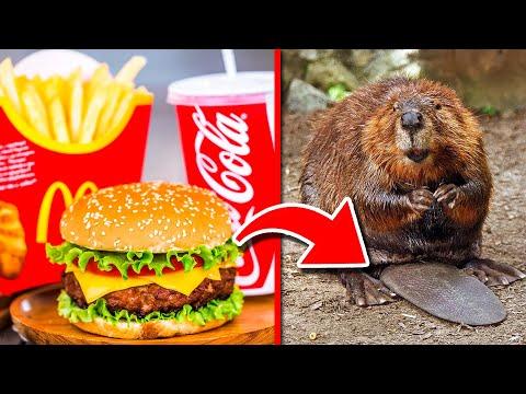 Shocking Fast Food Secrets Revealed: What You Need to Know Before Your Next Meal