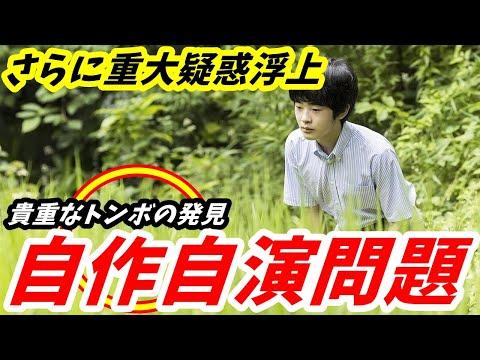 悠仁くんのトンボ相論文に関する疑惑と特異な研究内容