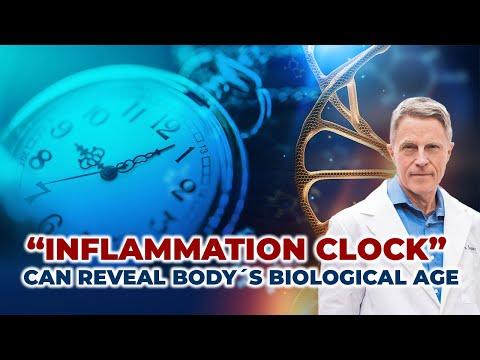 Unlocking the Secrets of the Inflammation Clock: A Journey to Healthy Aging