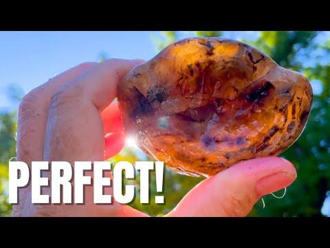 Rock Hunting Adventure: Discovering Rare Agates and Petrified Wood