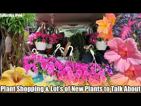 Discovering New Plants and Garden Maintenance Tips: A Saturday Vlog Recap