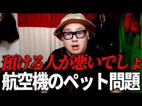 機内ペット持ち込みに賛否両論！日航機事故で考えるペットと飼い主の関係性