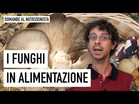 Discover the Nutritional Benefits of Mushrooms in Your Diet