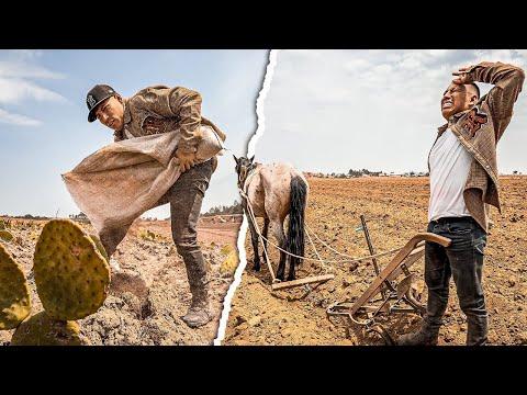 Descubre la Vida en el Campo de México 🌾