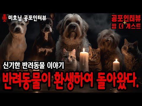 죽은 반려동물이 환생해서 돌아온 이야기