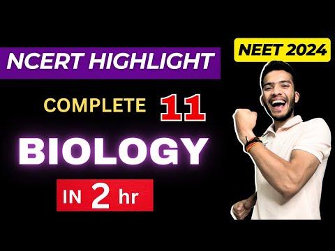 Mastering Biology Concepts: A Comprehensive Guide for NEET 2024