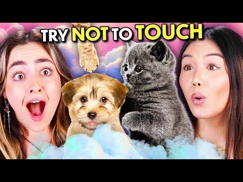 Experience Joy and Resistance in 'Try Not to Touch - Fluffiest Things!' Challenge