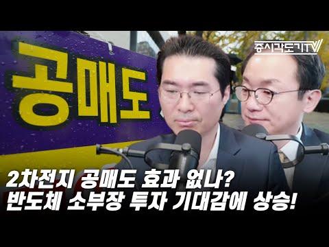 2차전지와 반도체 주가 상승에 대한 투자 전망과 전략