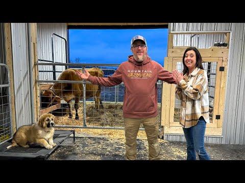 Exciting Barn Relocation and Livestock Setup Journey