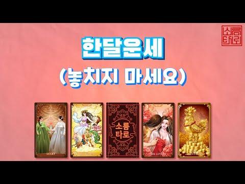 한달 운세를 알려드립니다! 🌟