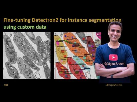 Mastering Image Segmentation with Detectron 2: A Step-by-Step Tutorial