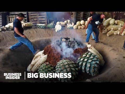 The Fascinating World of Mexican Agave and Fruit Production