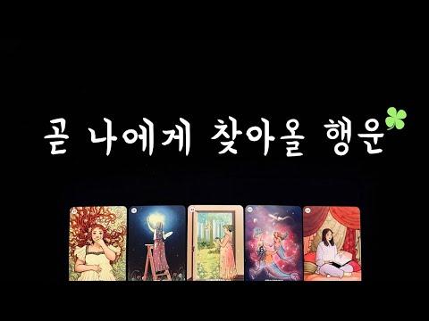 [타로] 3개월 내 찾아올 행운🍀 - 예상치 못한 기회와 성장을 위한 전망