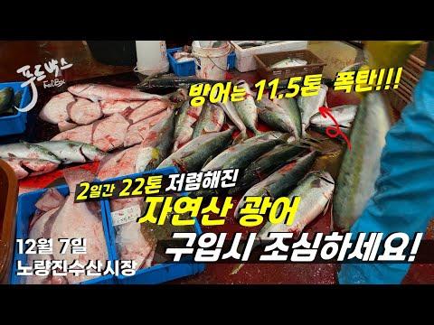Unveiling the Secrets of Noryangjin Fish Market: A Deep Dive into Seafood Prices and Availability