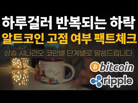 알트코인 시장 분석: 상승 여부와 고점 판단