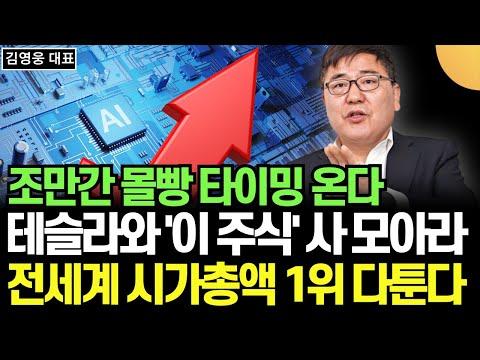 테슬라 주식 투자 전략 및 전망