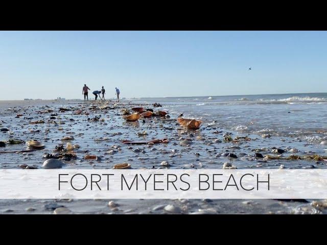 Exploring the Wonders of Low Tide Shelling in Fort Myers Beach