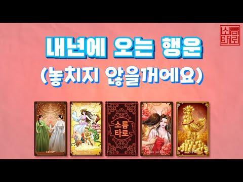 [타로/타로점] 2024년 행운을 예측하는 점술 영상 소개