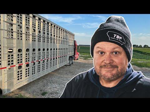 Revolutionizing Farming: New Technology and Innovations in Pig Farming