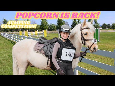 Popcorn's Triumphant Return to Show Jumping: A Success Story
