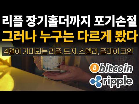 리플(XRP)와 이더리움의 현재 상황과 전망