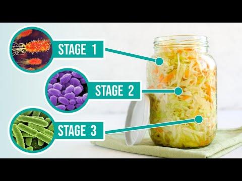 Unlocking the Secrets of Vegetable Fermentation: A Guide to Probiotic Rich Delights