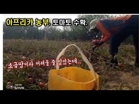 태국 왕이 직접 만든 신농업 모델 - 아프리카 농부의 이야기