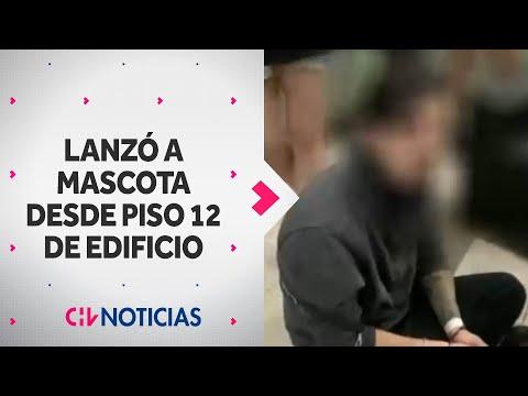 Impactante caso de maltrato animal: hombre arroja mascota desde piso 12