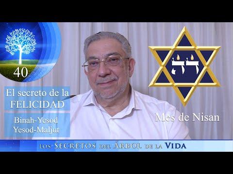 Los Secretos del Árbol de la Vida: Descubre la Sabiduría de la Kabbalah