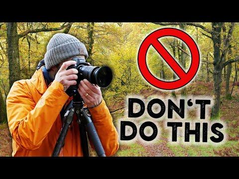 Mastering Woodland Photography: Tips and Techniques for Capturing Stunning Shots