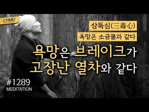 뉴욕 법문희망의 귓전명상대학 1289일차 수행