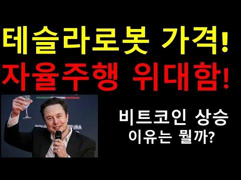 테슬라의 혁신적인 소식과 비트코인 시장 동향