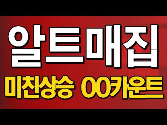 비트코인과 도지코인 투자에 대한 유튜브 채널 시바이누의 인사이트