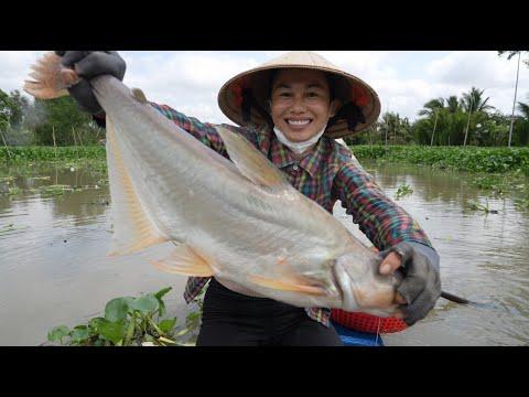 Unveiling the Thrilling Adventures of Fishing with Anh Tam: A Deep Dive into the World of Catfish Catching