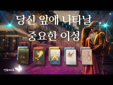 [타로|연애💘] 당신 앞에 나타날 중요 이성 - 심층 분석 및 FAQ