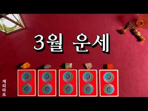 [타로] 3월 운세 🧧 이번달 좋은 일