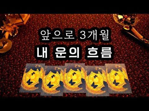 [타로] 3개월 동안의 운세를 읽어주는 내용