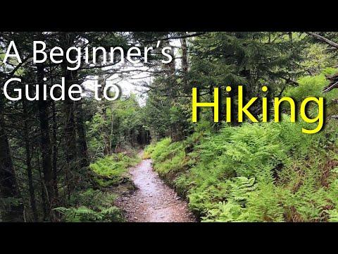 Essential Hiking Tips for Beginners