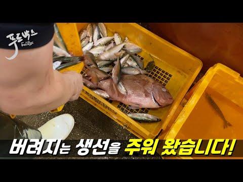 Exploring the Noryangjin Fish Market: A Culinary Adventure