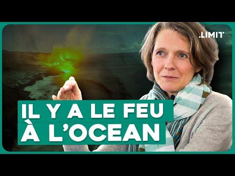 Préserver l'océan : Agir pour un avenir durable