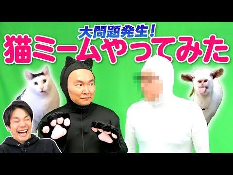 猫ミーム動画制作の舞台裏：かまいたちが大問題を乗り越える物語