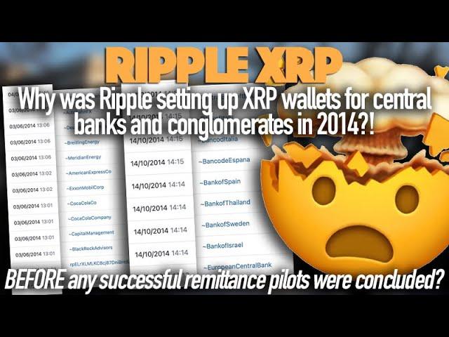 Unlocking the Potential of Ripple XRP: Insights from 2014 and Beyond