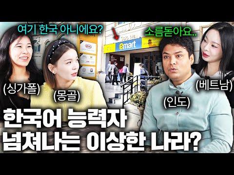 한국어학과 경쟁률 3000:1, 나라 전체가 생존형 한국화 중이라는 이 나라?