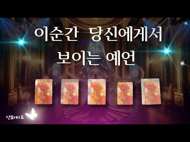 [타로|예언🔮] 미래를 밝히는 타로 카드의 비밀