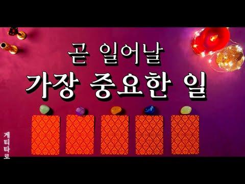 [타로] 미래를 밝히는 행운의 카드 읽기