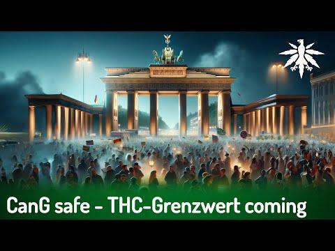 Neue Cannabis-Gesetzgebung in Deutschland: Alles, was du wissen musst