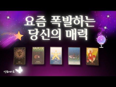 [타로|매력😶‍🌫️] 최신 트렌드! 당신의 매력이 폭발하는 이유